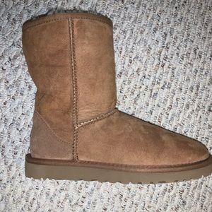 NEW NEVER BEEN WORN CLASSIC SHORT UGG SIZE 6